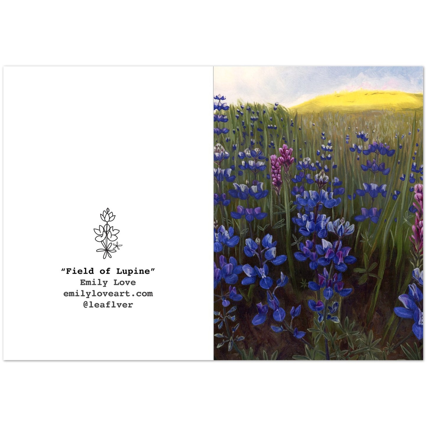 "Field of Lupine" Card