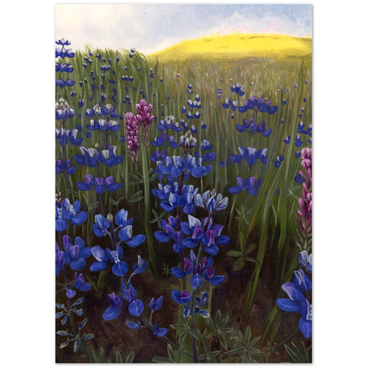 "Field of Lupine" Card