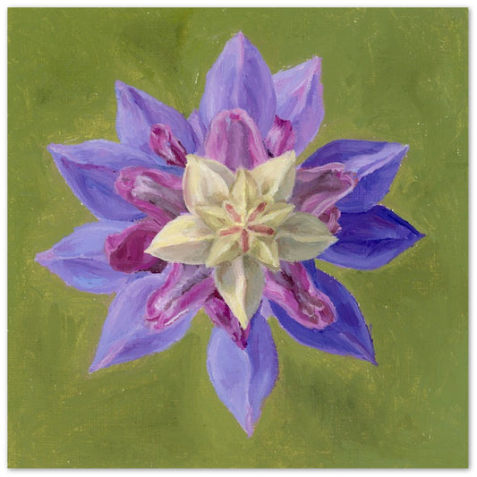 "Bird's-Eye Lupine" Card