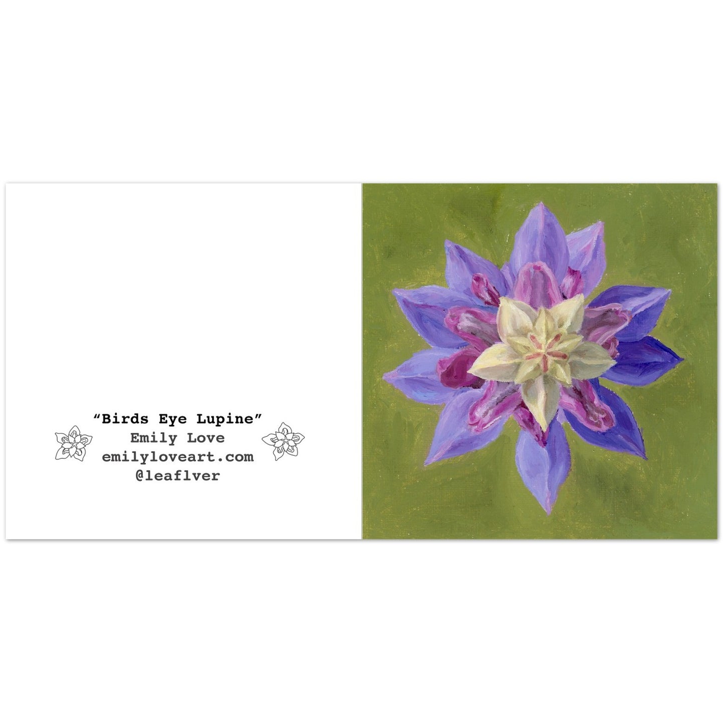 "Bird's-Eye Lupine" Card