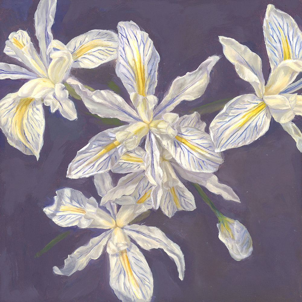 "Douglas Irises" Print