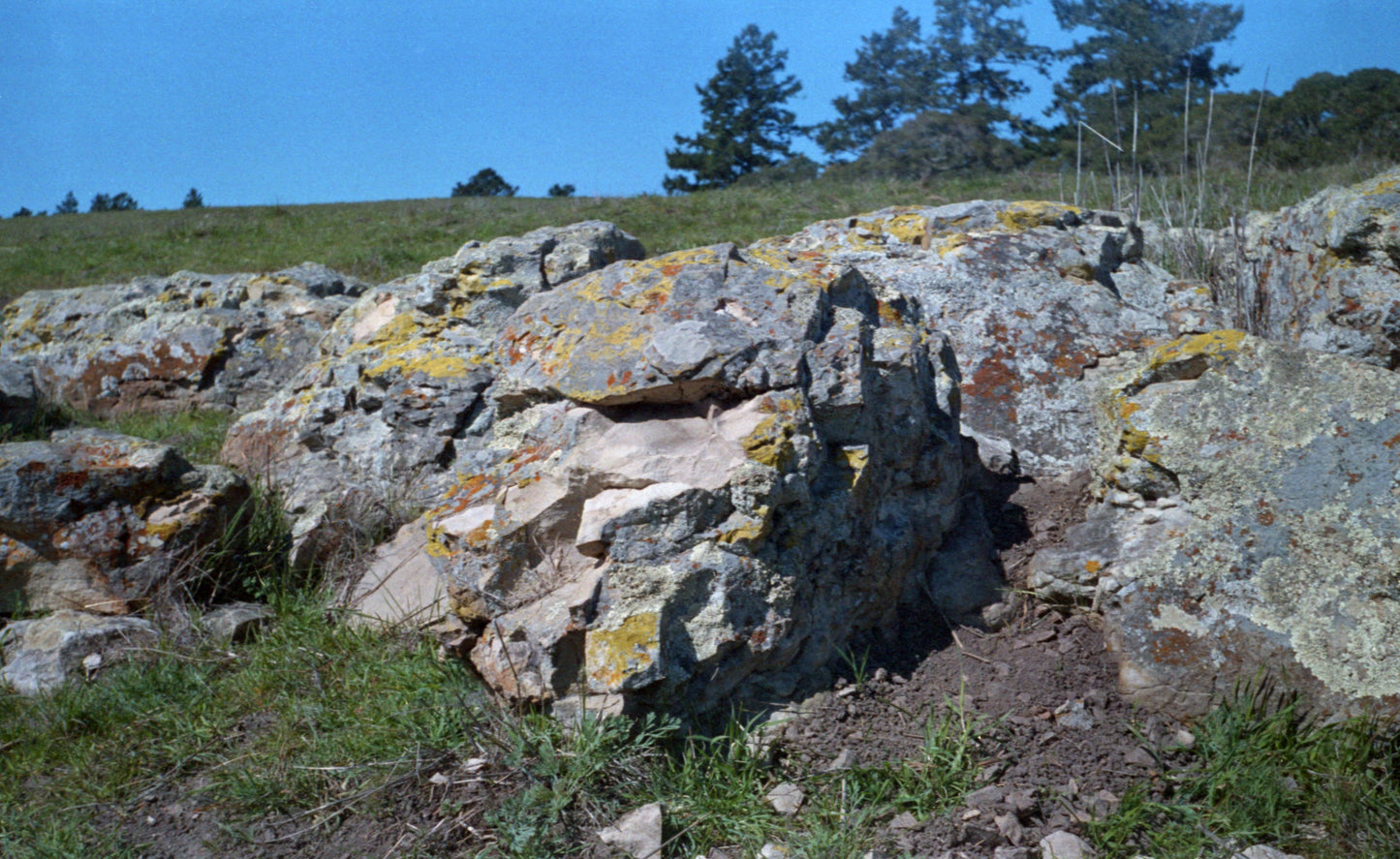 Lichen Covered Rocks, Moore Creek