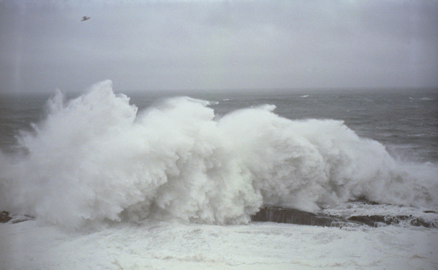 Winter Waves, OR