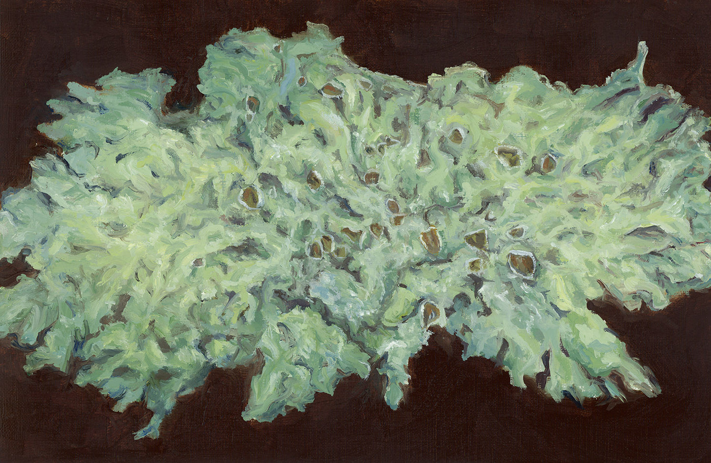 "Speckled Greenshield Lichen" Print