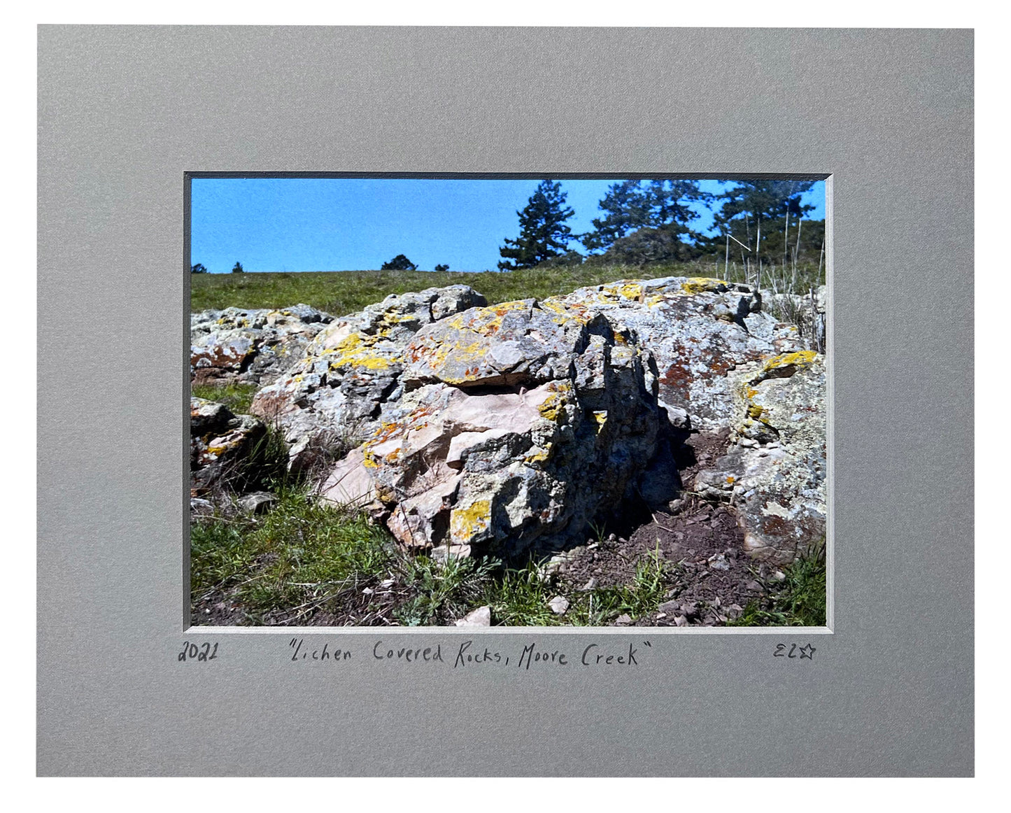 Lichen Covered Rocks, Moore Creek