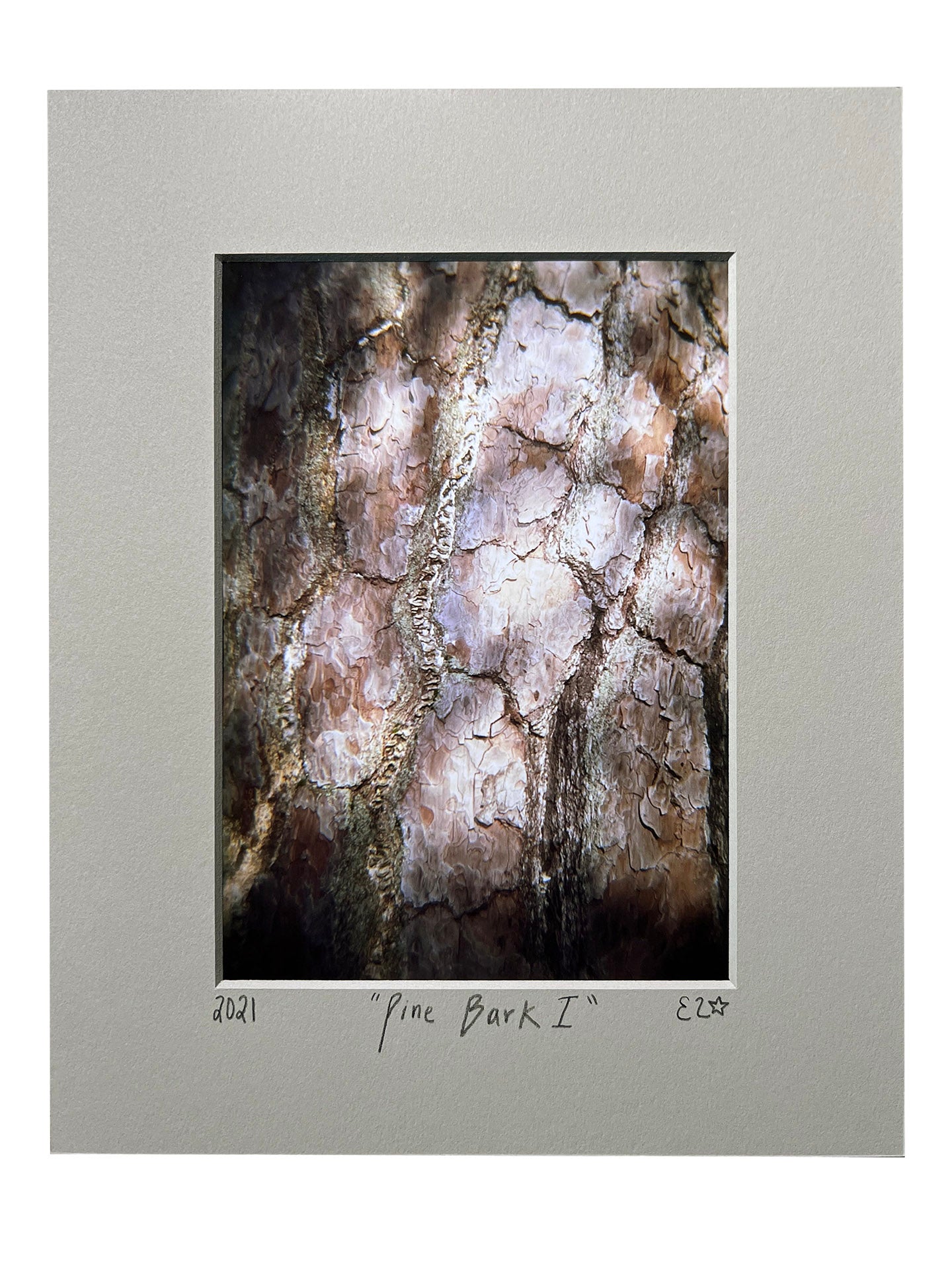 Pine Bark I