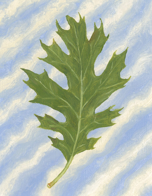 "Falling Oak Leaf" Print