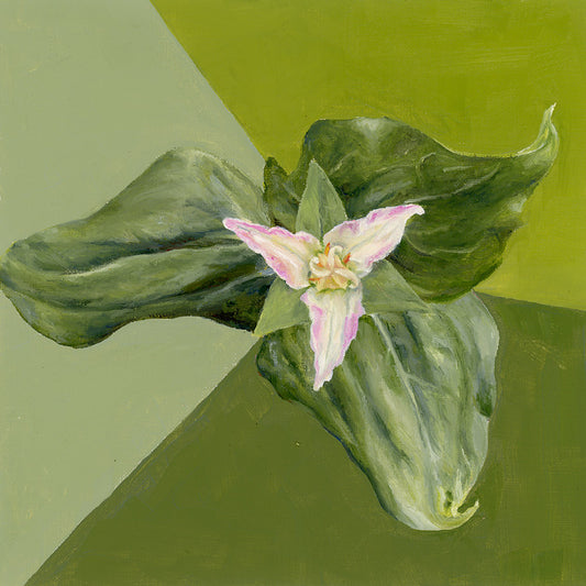 "Trillium" Print